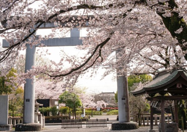 Raízes, flores e a alma do Japão